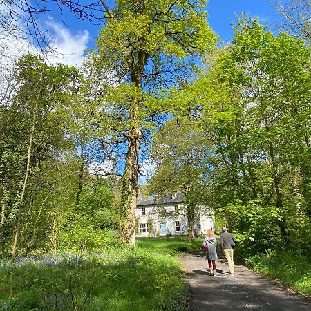 Blackhill Woods Retreat Abbeyleix Dış mekan fotoğraf