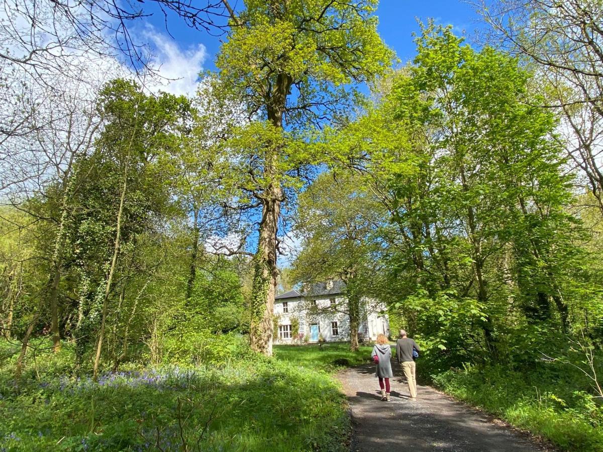 Blackhill Woods Retreat Abbeyleix Dış mekan fotoğraf