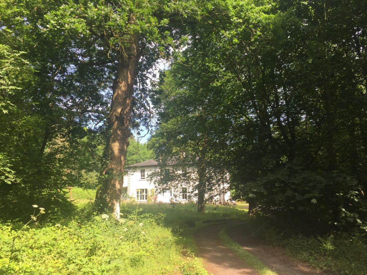 Blackhill Woods Retreat Abbeyleix Dış mekan fotoğraf